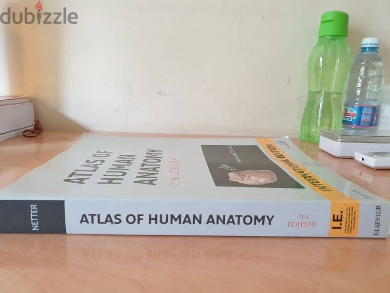 Netter's Atlas of Human Anatomy 7th Edition 2