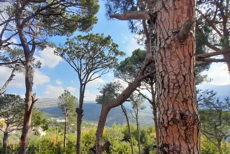 Villa in Mtein, Metn with Sea and Mountain View