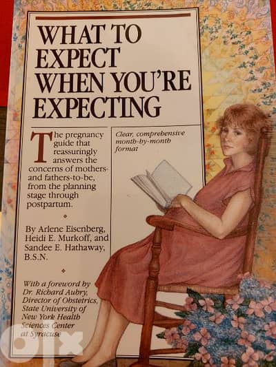 what to expect when expecting book