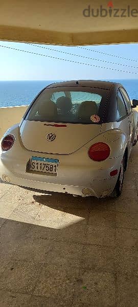 Beetle for sale 2