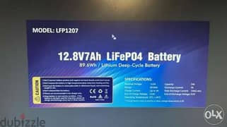 Lithium iron phosphate FePO4 battery