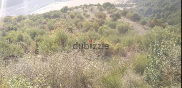 8604 Sqm | Land For Sale In Batroun | Panoramic View