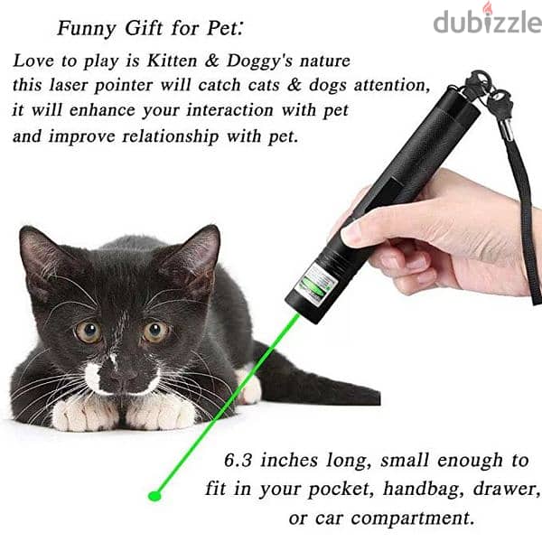 rechargable pointer beam for you pet 0