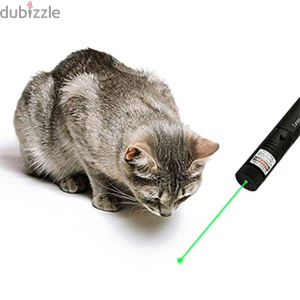 rechargable pointer beam for you pet 1