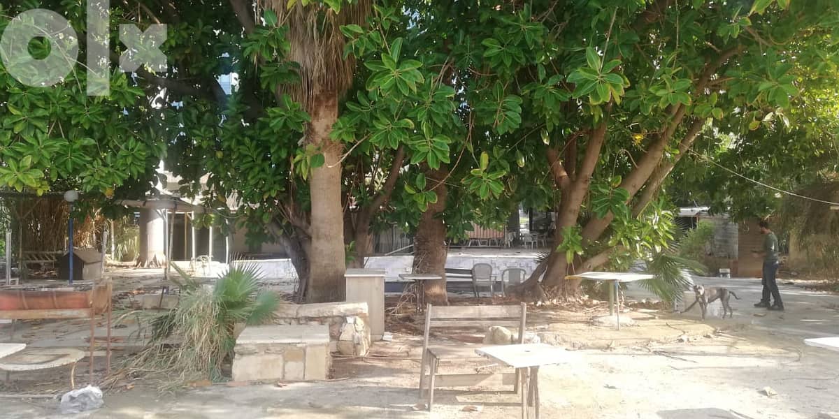 L10753-Spacious 1200 sqm Land for Rent on the Sea-Side Road-Antelias 1