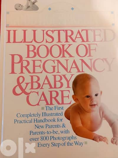 illustrated book of pregnancy and baby care