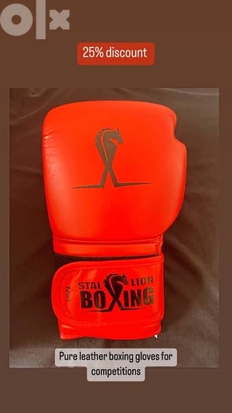 boxing gloves 1