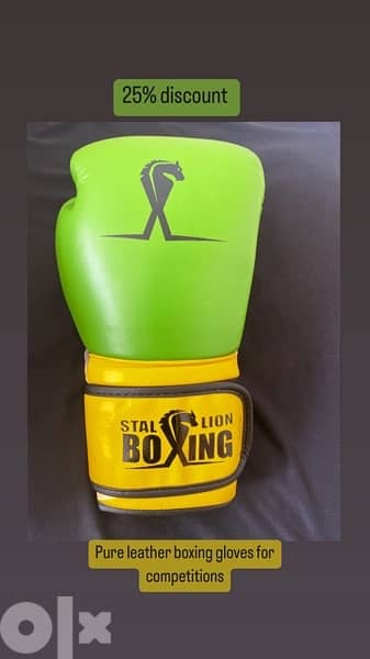 boxing gloves 2