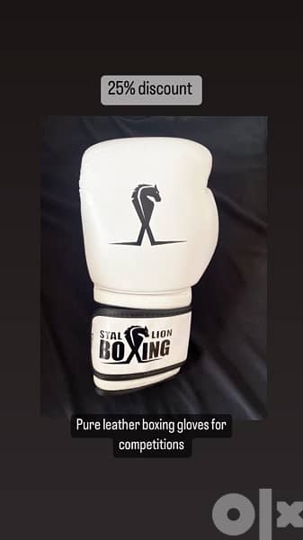 boxing gloves 8