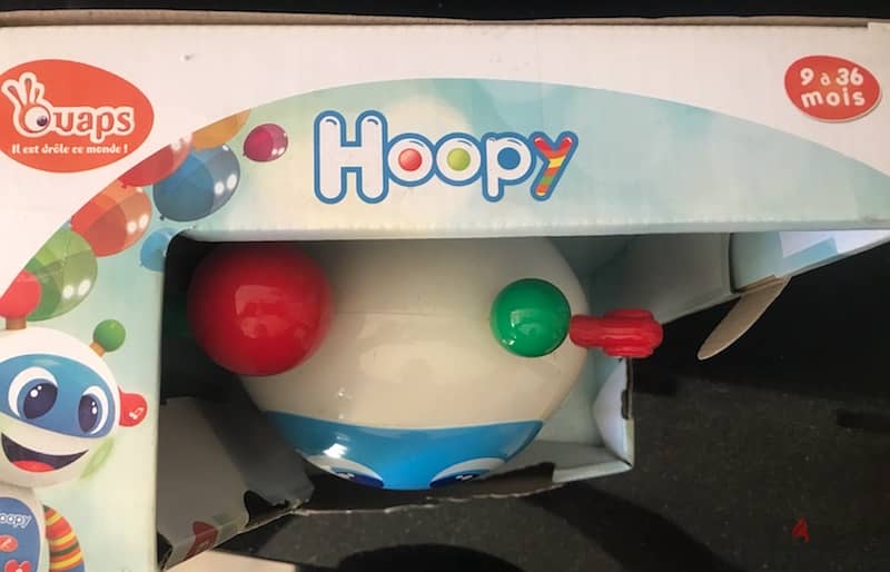 Hoopy 1