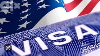 US visa online application 0
