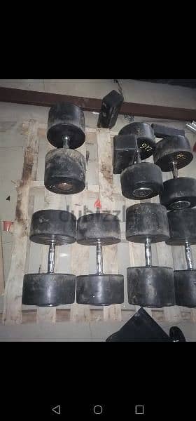 Hammer strength dumbells used heavy weights 81701084