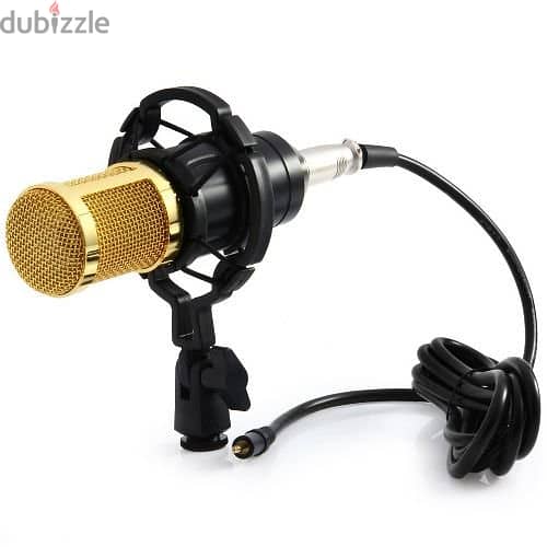 B800 recording microphone with Shock mount tiktok ** special price 0