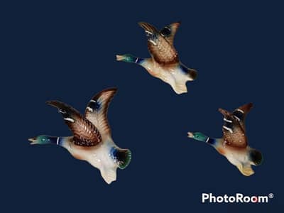 3 Vintage 1950 wall graduated ceramic flying ducks for sale