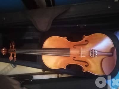 violin