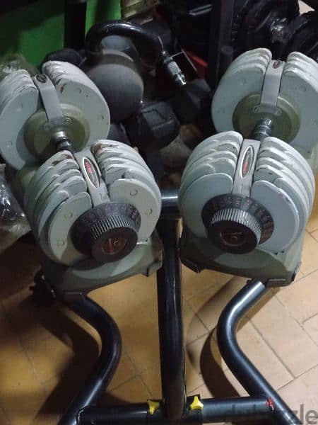 American Adjustable Dumbbells Heavy duty with stand 03027072 GEO SPORT 1