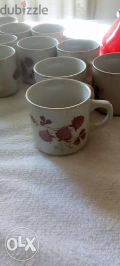 Tea cups. new not used. 6 pieces. فناجين شاي ٦ قطع 0