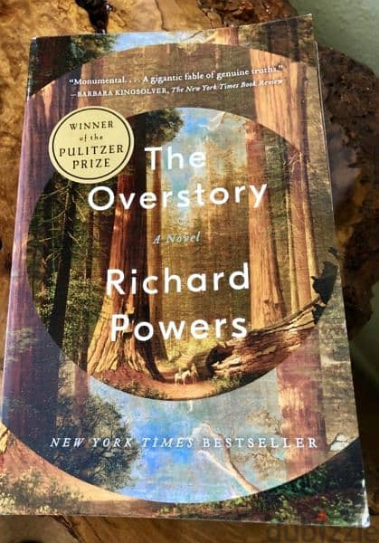 The Overstory 0
