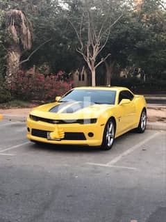 Bumblebee