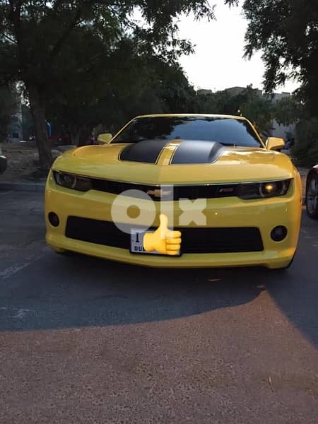 Bumblebee 2