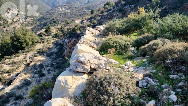 27000 sq. m land in kharbeh (jbeil)ارض في منطقة الخاربة قضاء جبيل 2