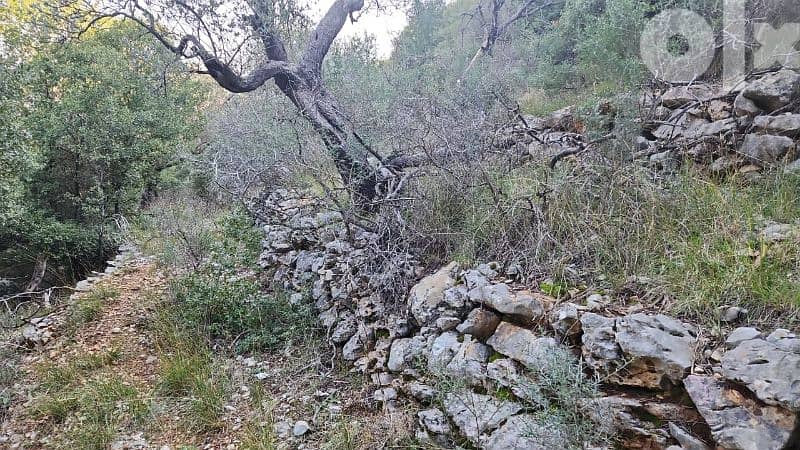 27000 sq. m land in kharbeh (jbeil)ارض في منطقة الخاربة قضاء جبيل 1