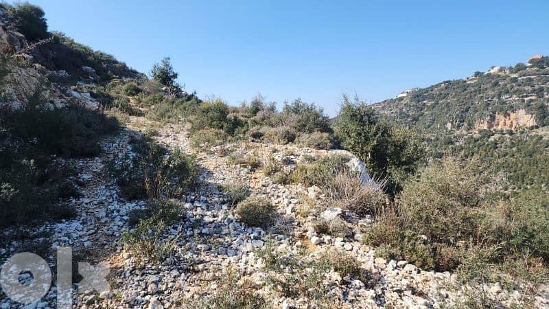 27000 sq. m land in kharbeh (jbeil)ارض في منطقة الخاربة قضاء جبيل 3