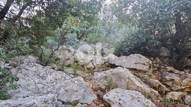 27000 sq. m land in kharbeh (jbeil)ارض في منطقة الخاربة قضاء جبيل 5