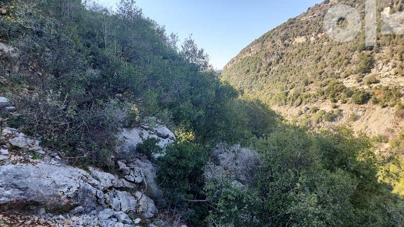 27000 sq. m land in kharbeh (jbeil)ارض في منطقة الخاربة قضاء جبيل 6