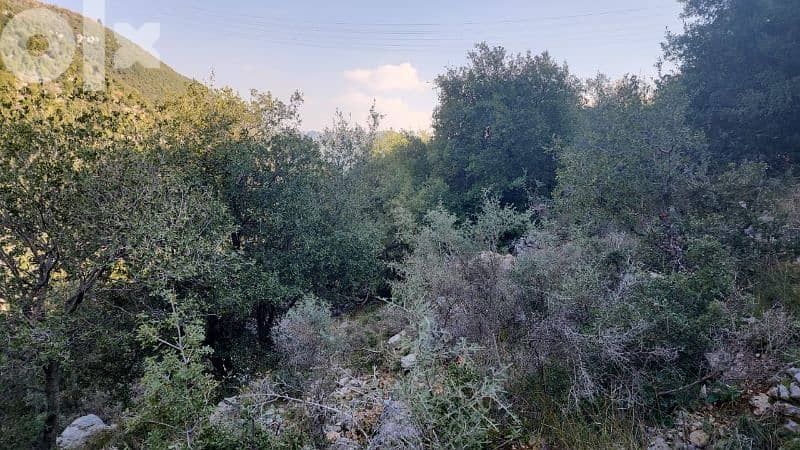 27000 sq. m land in kharbeh (jbeil)ارض في منطقة الخاربة قضاء جبيل 7