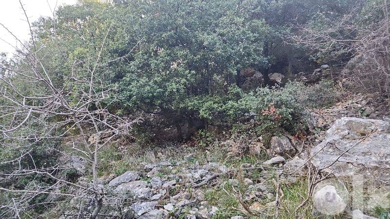 27000 sq. m land in kharbeh (jbeil)ارض في منطقة الخاربة قضاء جبيل 8