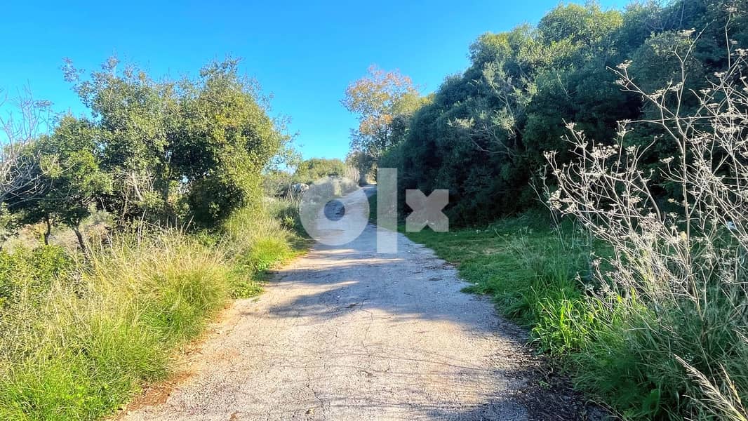 L11022-Beautiful 5,000 SQM land for Sale in Maad, Jbeil 1