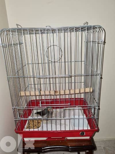 cage for birds