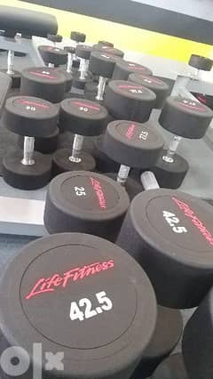 dumbbells life fitness 0