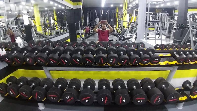 dumbbells life fitness 1