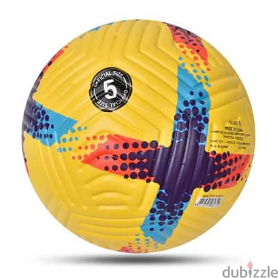 premier league ball