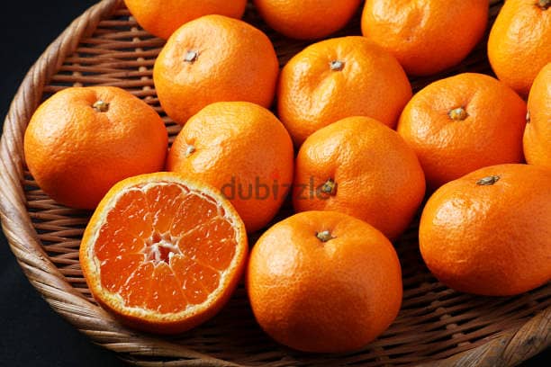 Italian clementine trees 1