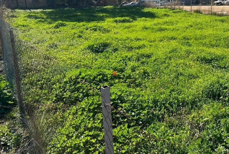 Land for sale in Batroun/Busiest Street   ارض للبيع في بترون 0