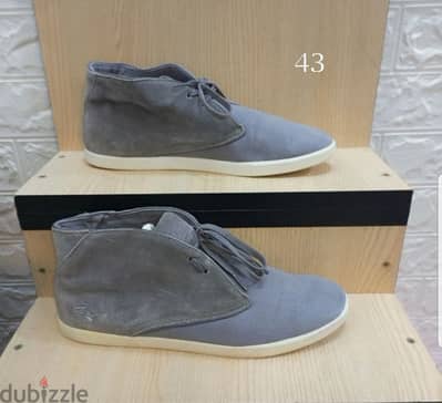 Lacoste shoes size 43