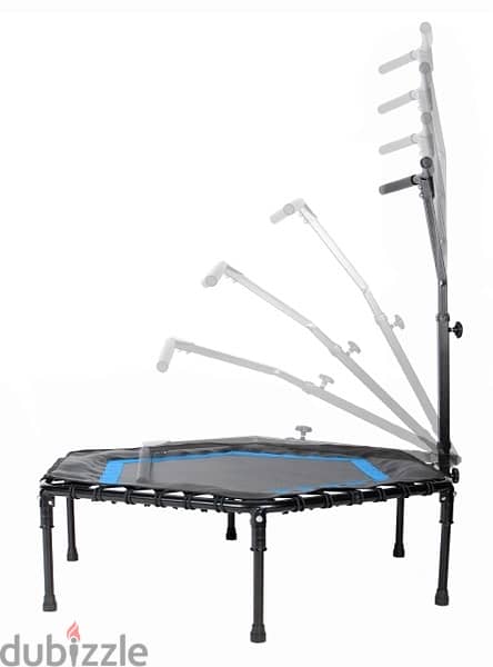 Trampoline With Handle 1