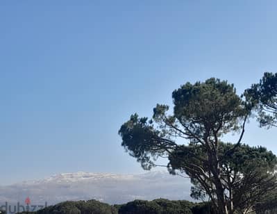 Orchard Land in Douar (Apple, Grapes and Cherry), Metn Overlooking the