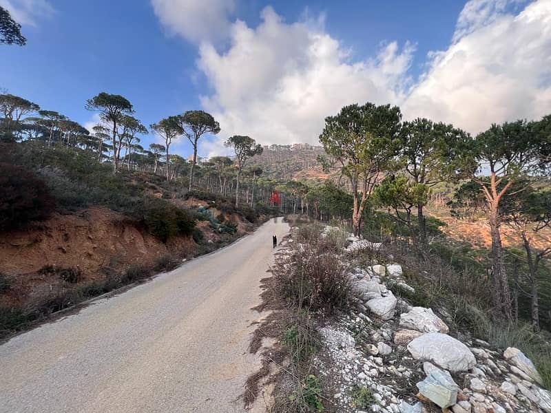 Land for sale in Mar Moussa أرض للبيع في مار موسى 3