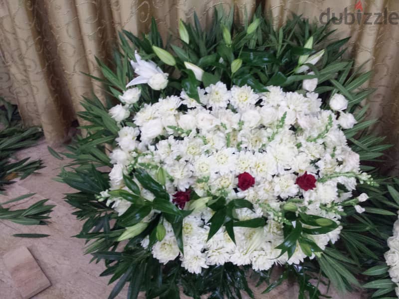 Funeral and Mortuary Services  -   جميع خدمات ال دفن 19
