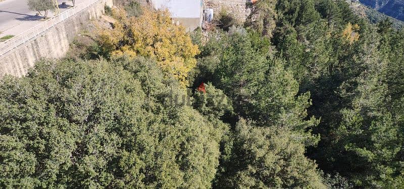 land for sale fatre jbeil  جبيل ارض للبيع منطقة فتري 5