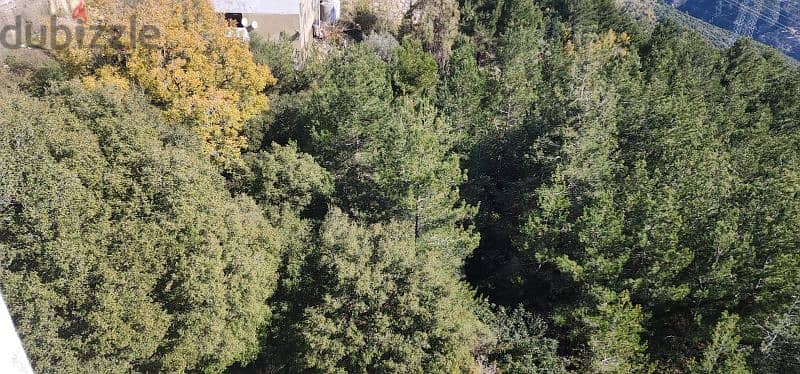 land for sale fatre jbeil  جبيل ارض للبيع منطقة فتري 8