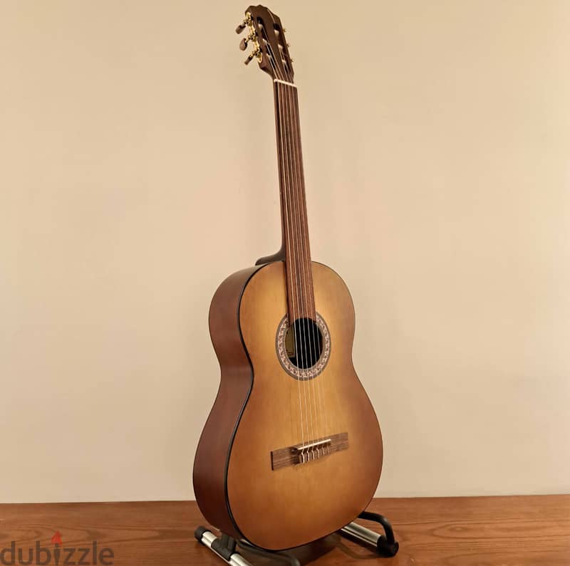 Fretless Handmade Classic Guitar - Demetrias M10 0