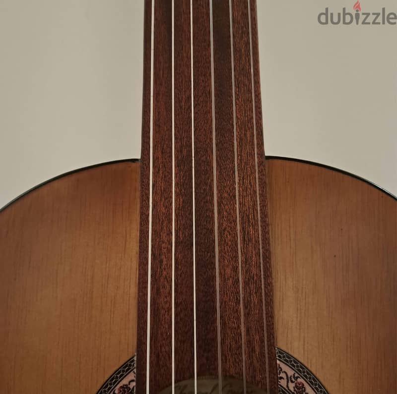 Fretless Handmade Classic Guitar - Demetrias M10 2