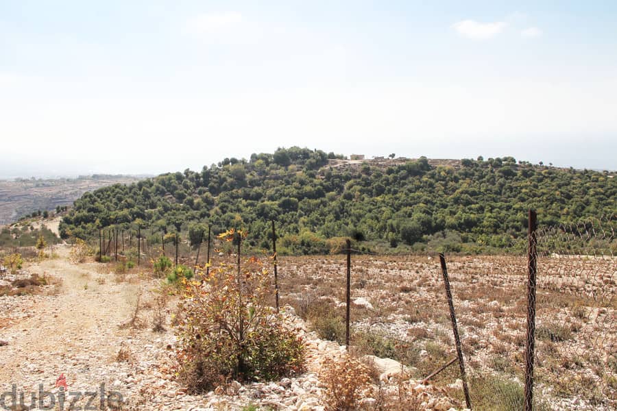 Land | Gharzouz | Open View | أرض للبيع | PLS 25207 1