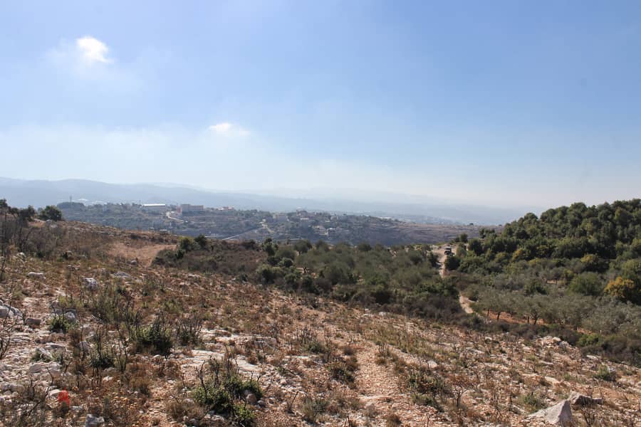 Land | Gharzouz | Open View | أرض للبيع | PLS 25207 10