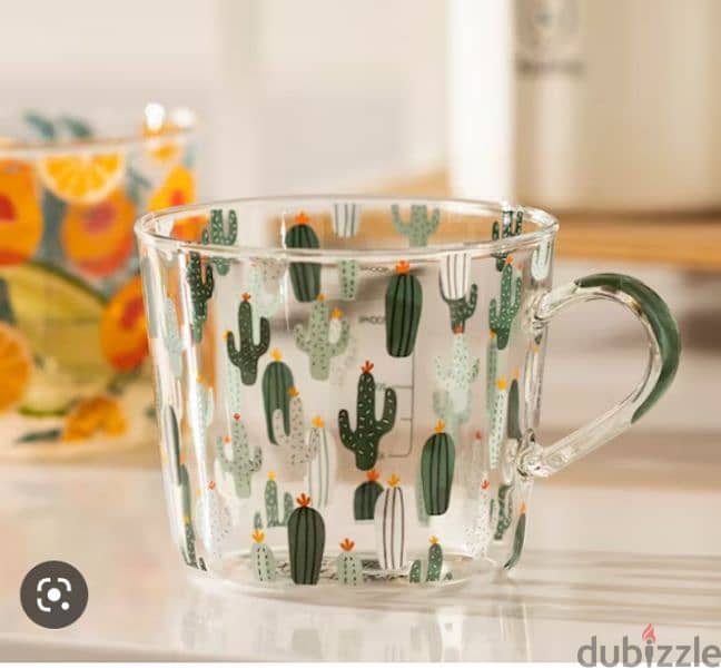big size cactus pirex jug 3
